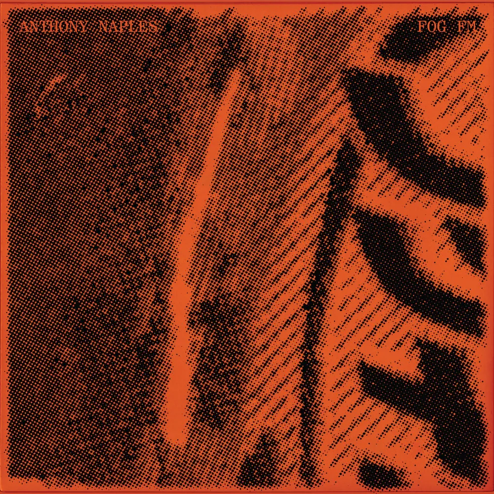 Album Review: Anthony Naples – Fog FM