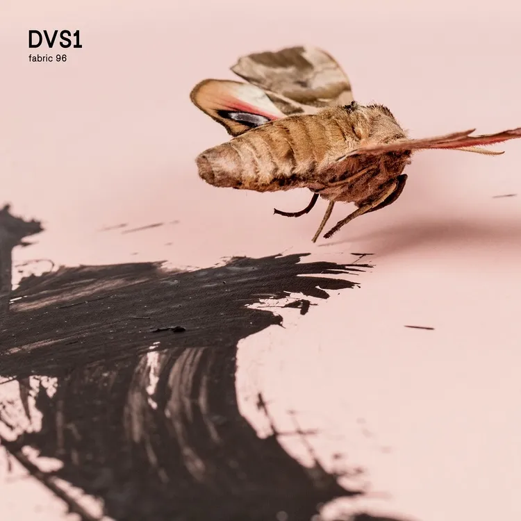 DVS1 steps up for fabric 96