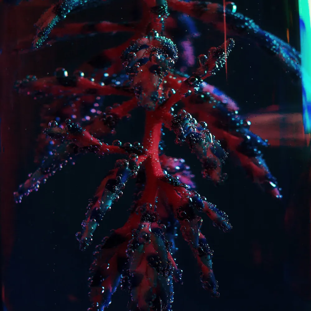 Objekt returns to PAN with second album ‘Cocoon Crush’