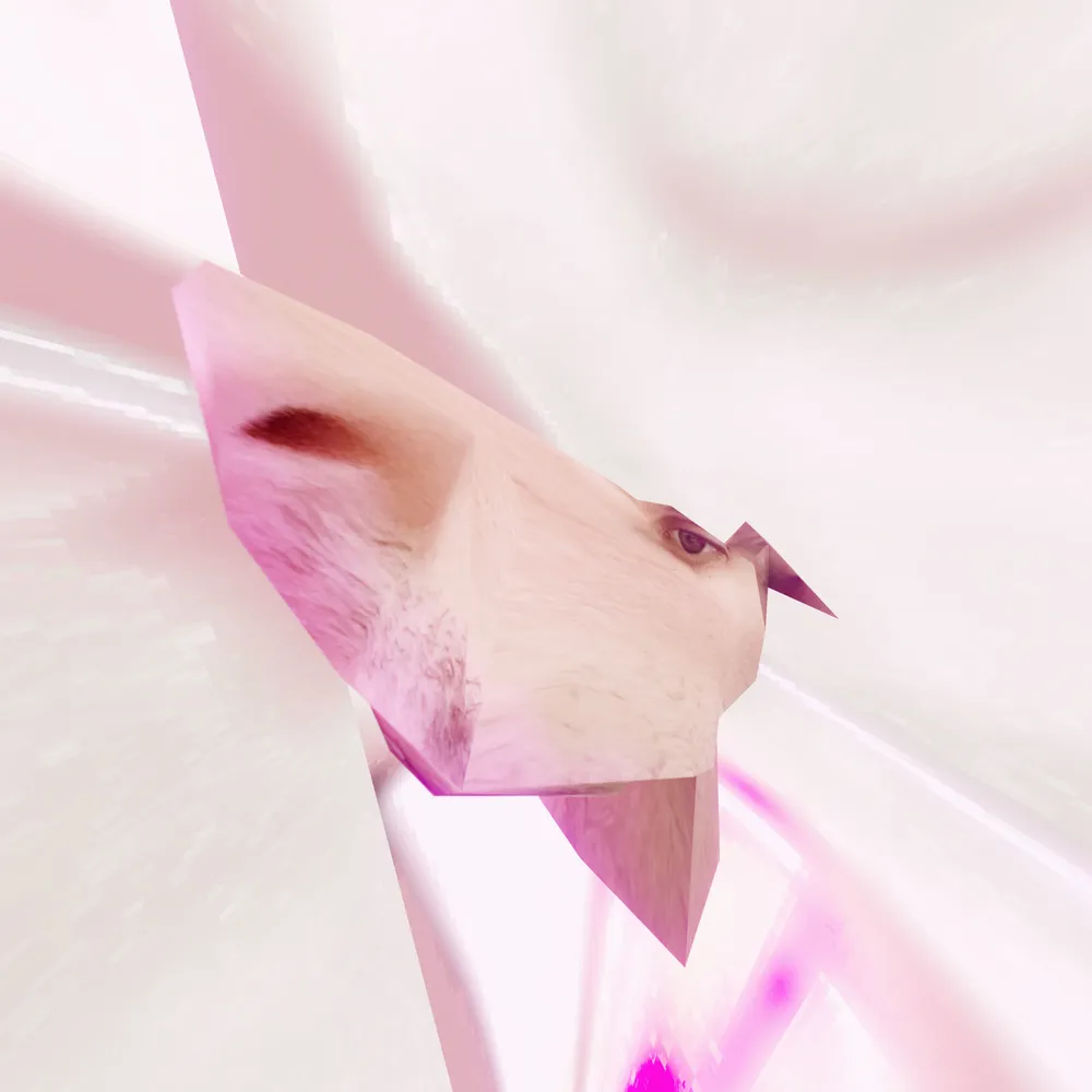 Premiere: qgb – PIGS [PRESENT TENSE]